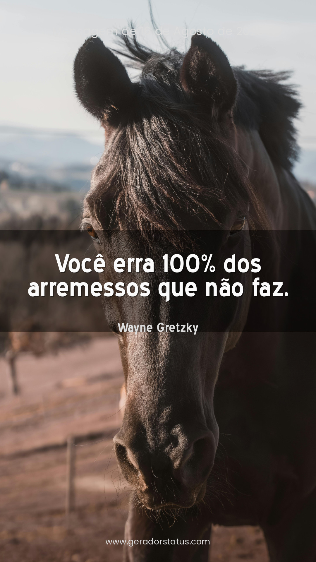 Status do dia: Reflexão