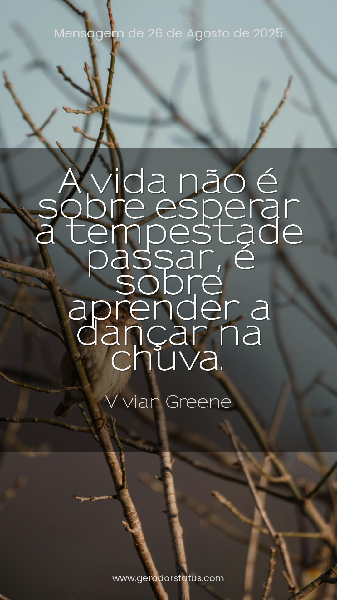 Status do dia: Reflexão