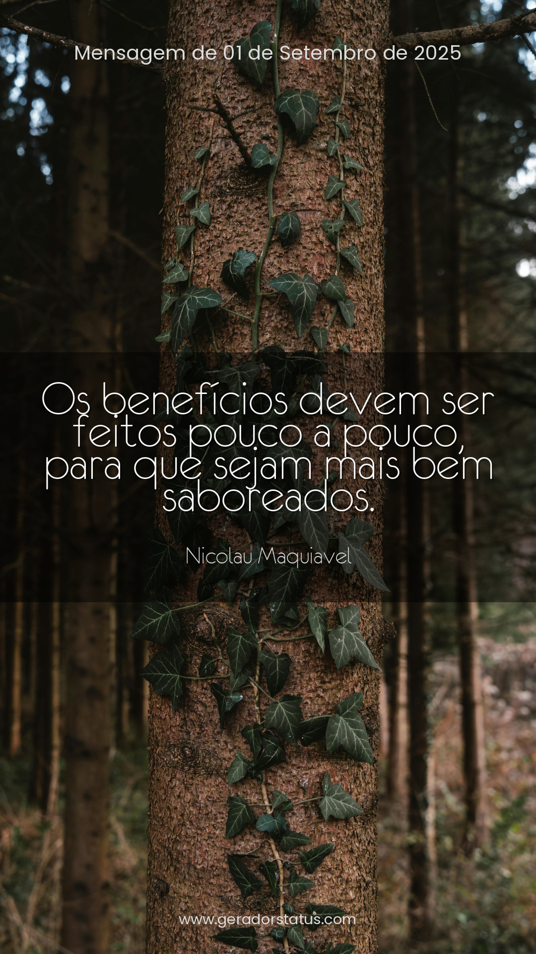 Status do dia: Sabedoria