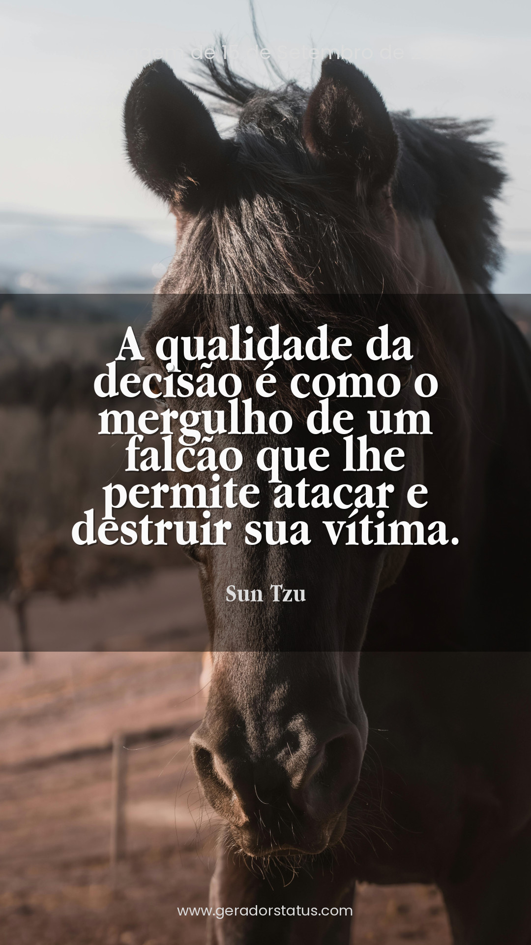 Status do dia: Sabedoria