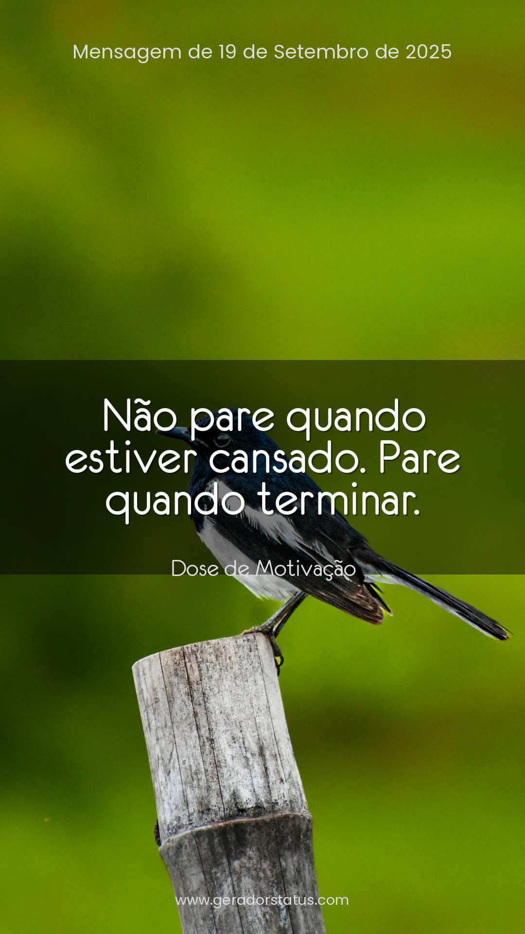 Status do dia: Motivacional