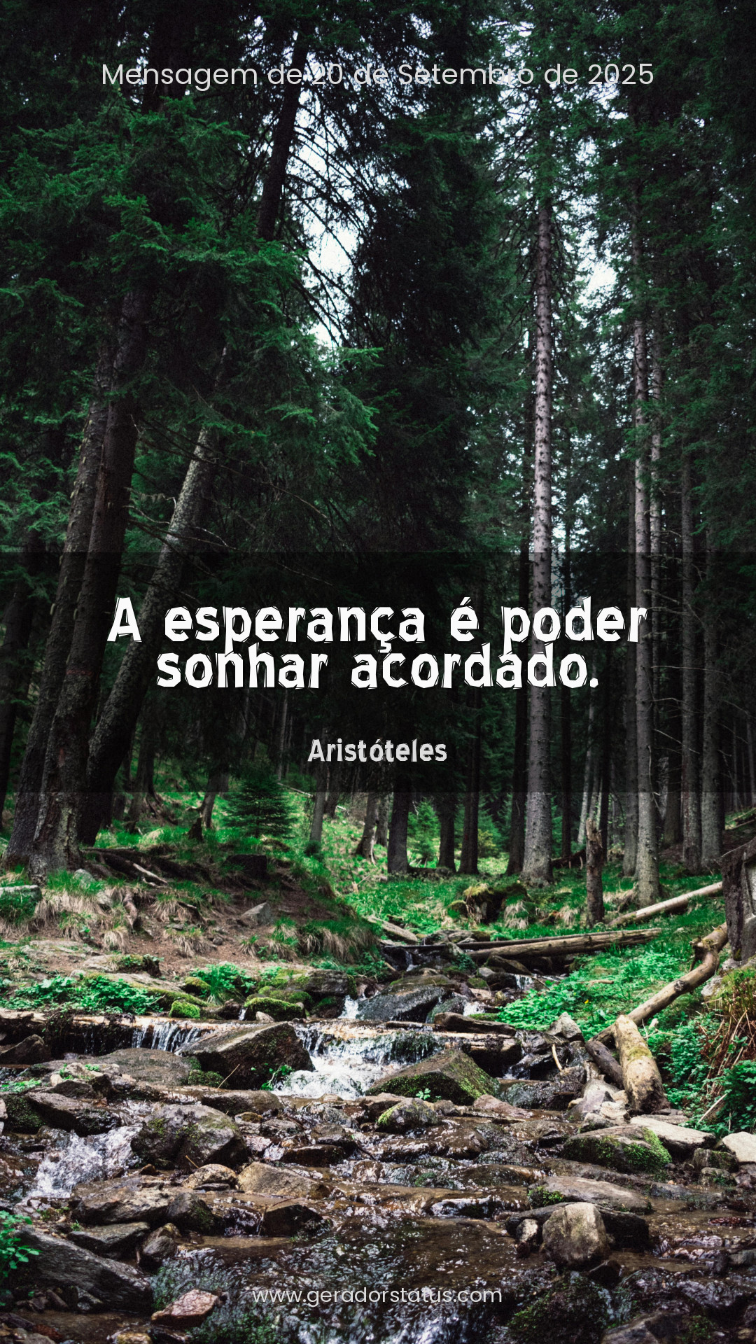 Status do dia: Citação