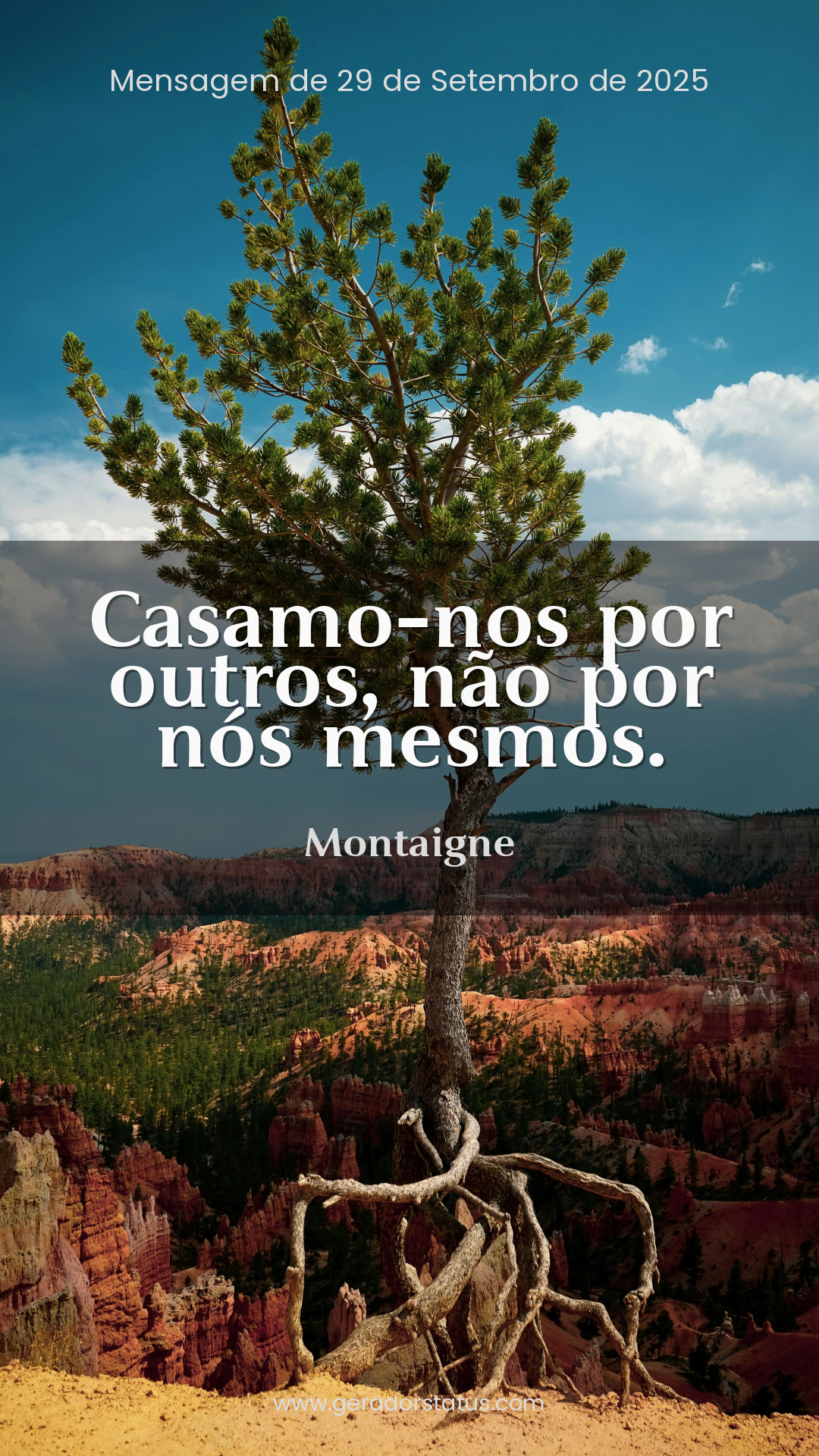 Status do dia: Reflexão