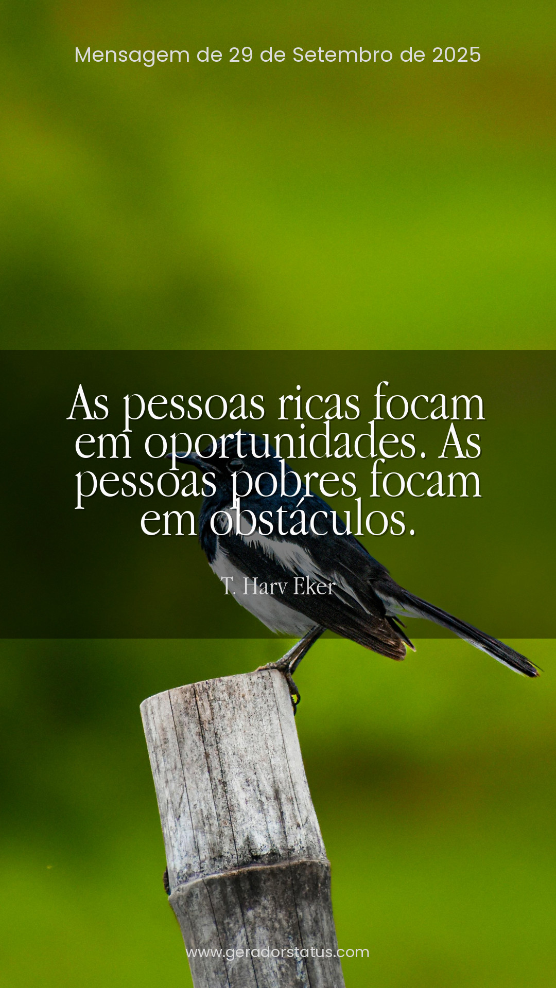 Status do dia: Sabedoria