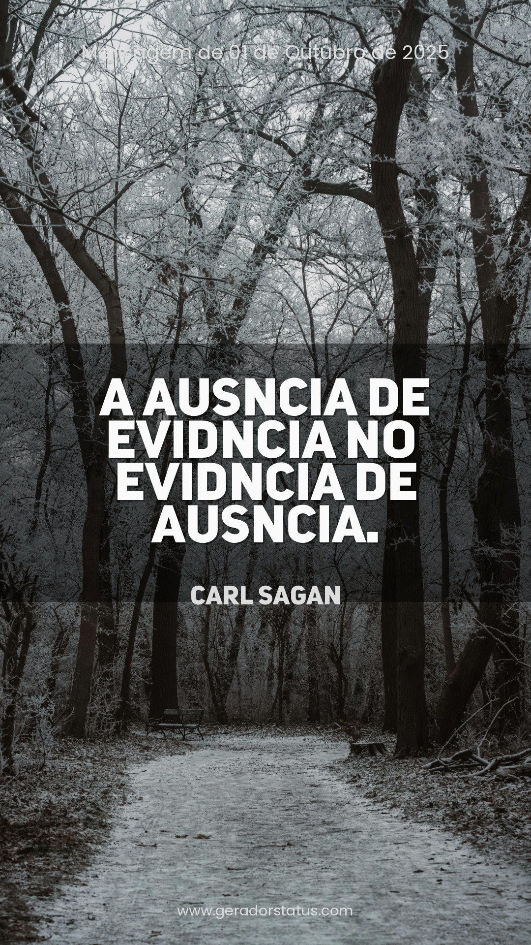 Status do dia: Citação