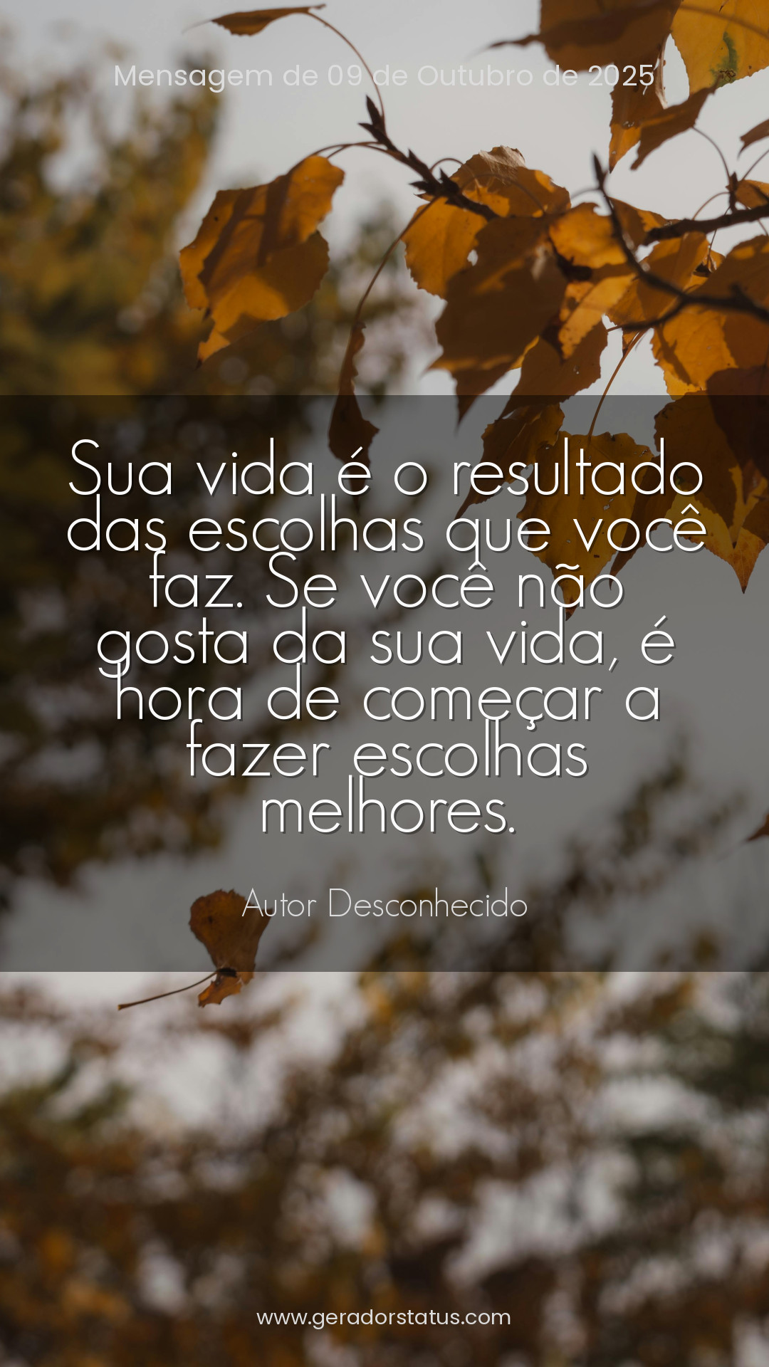 Status do dia: Reflexão