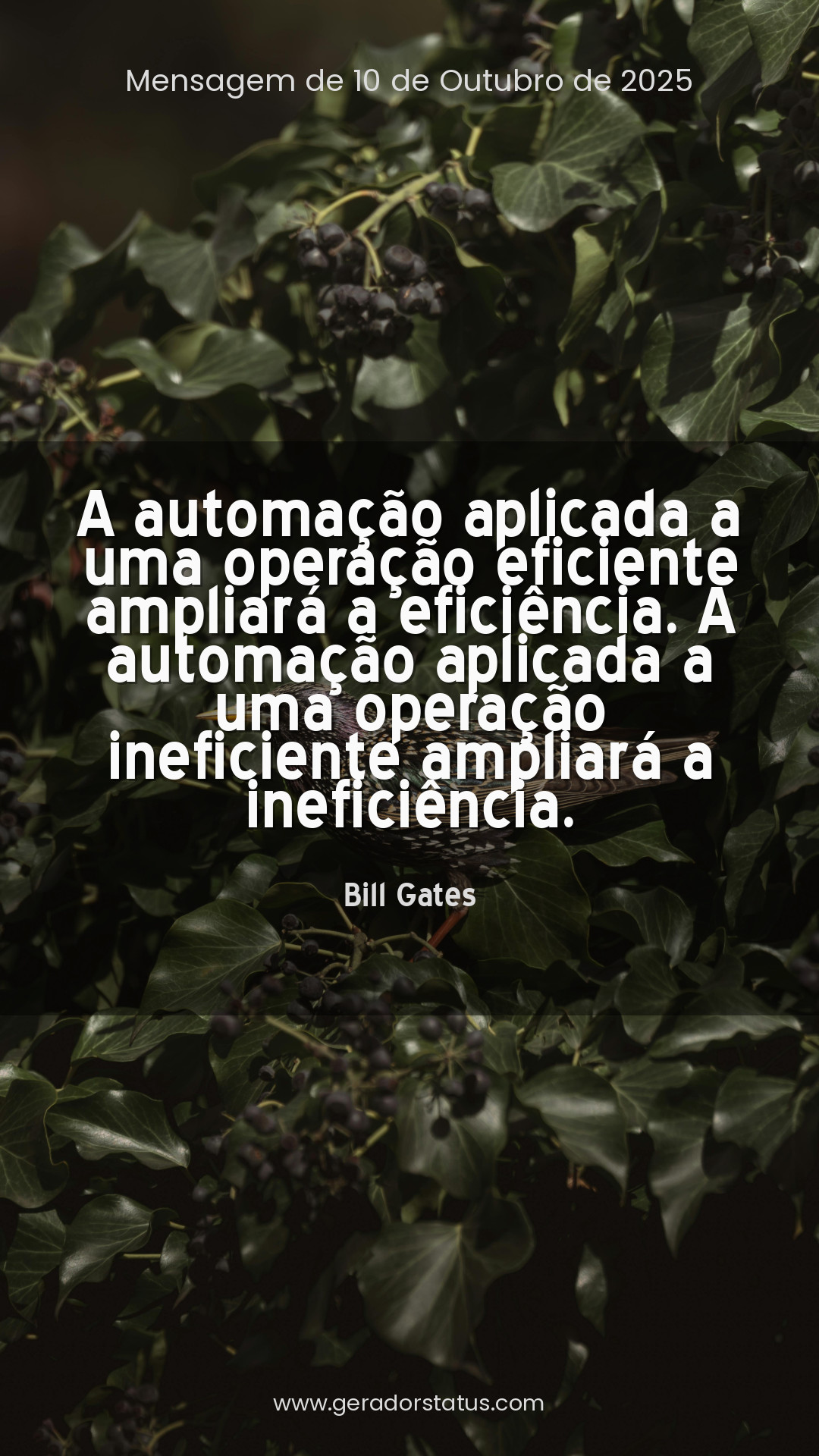 Status do dia: Citação