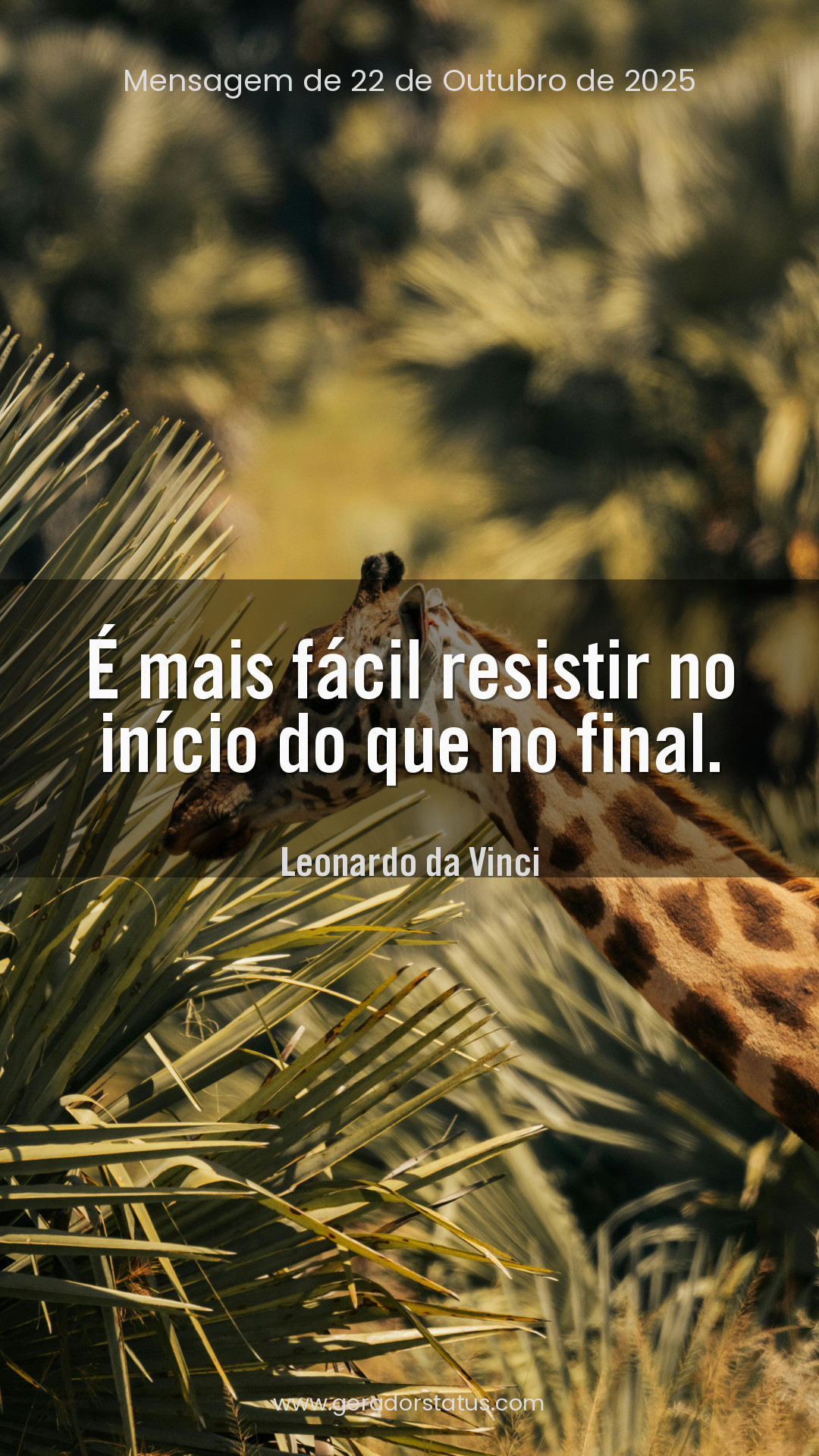 Status do dia: Reflexão