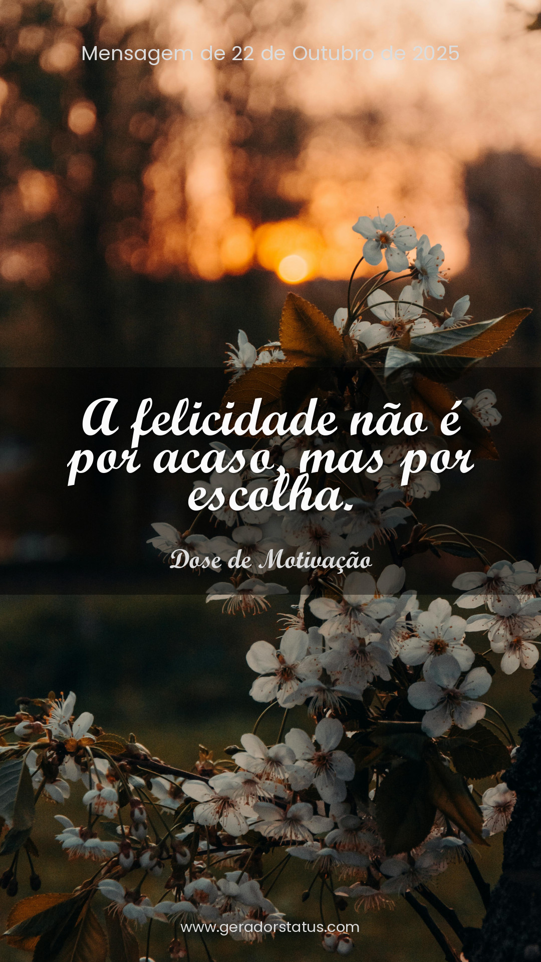 Status do dia: Motivacional