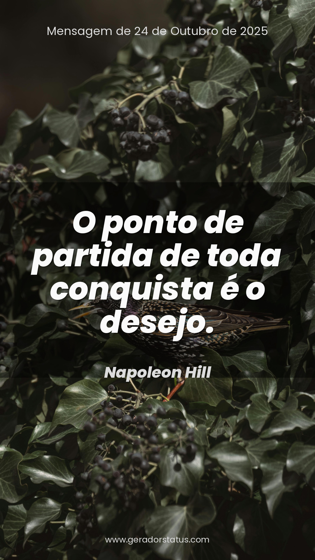 Status do dia: Sabedoria