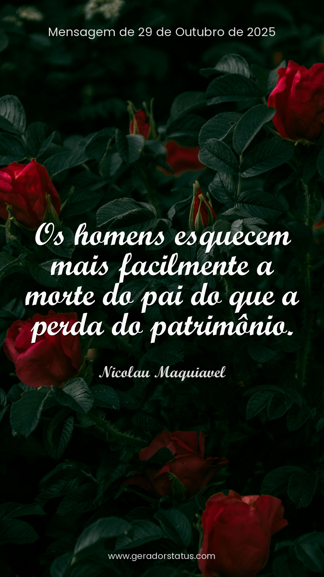 Status do dia: Sabedoria