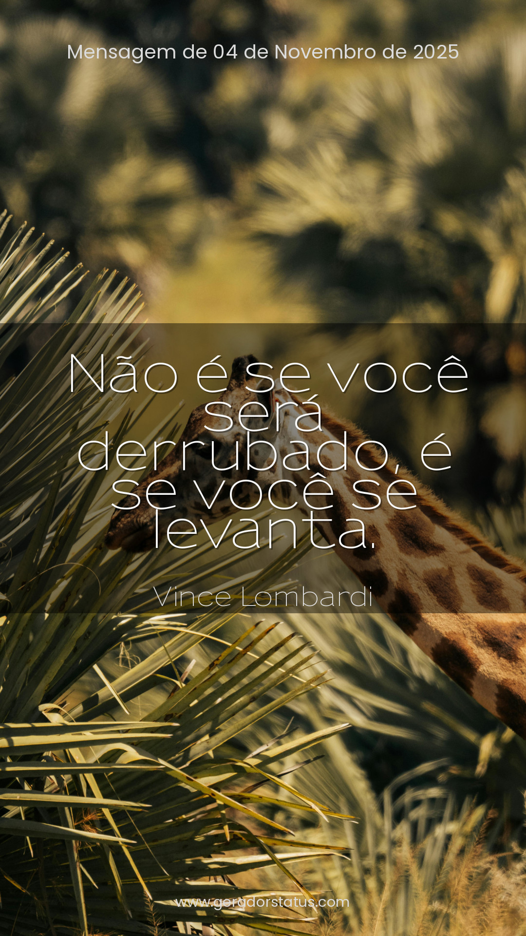 Status do dia: Reflexão