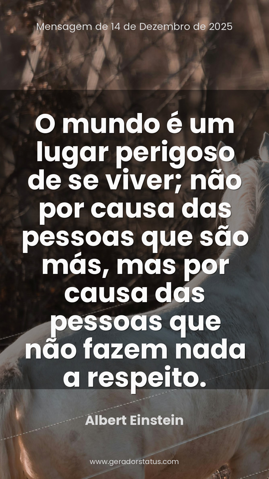 Status do dia: Reflexão