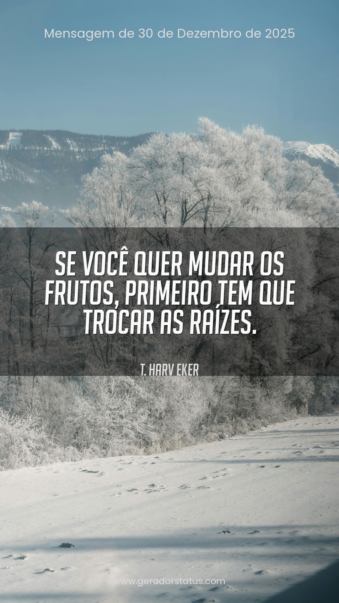 Status do dia: Sabedoria