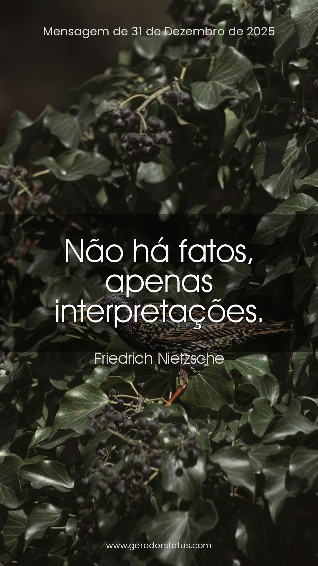 Status do dia: Citação