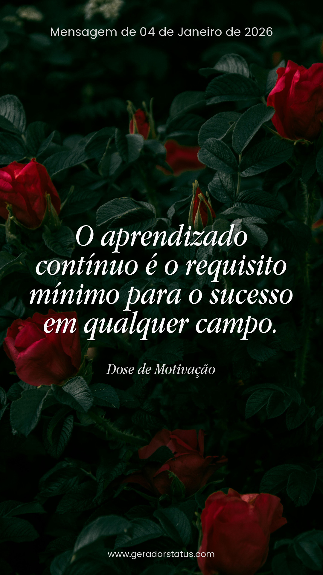 Status do dia: Motivacional