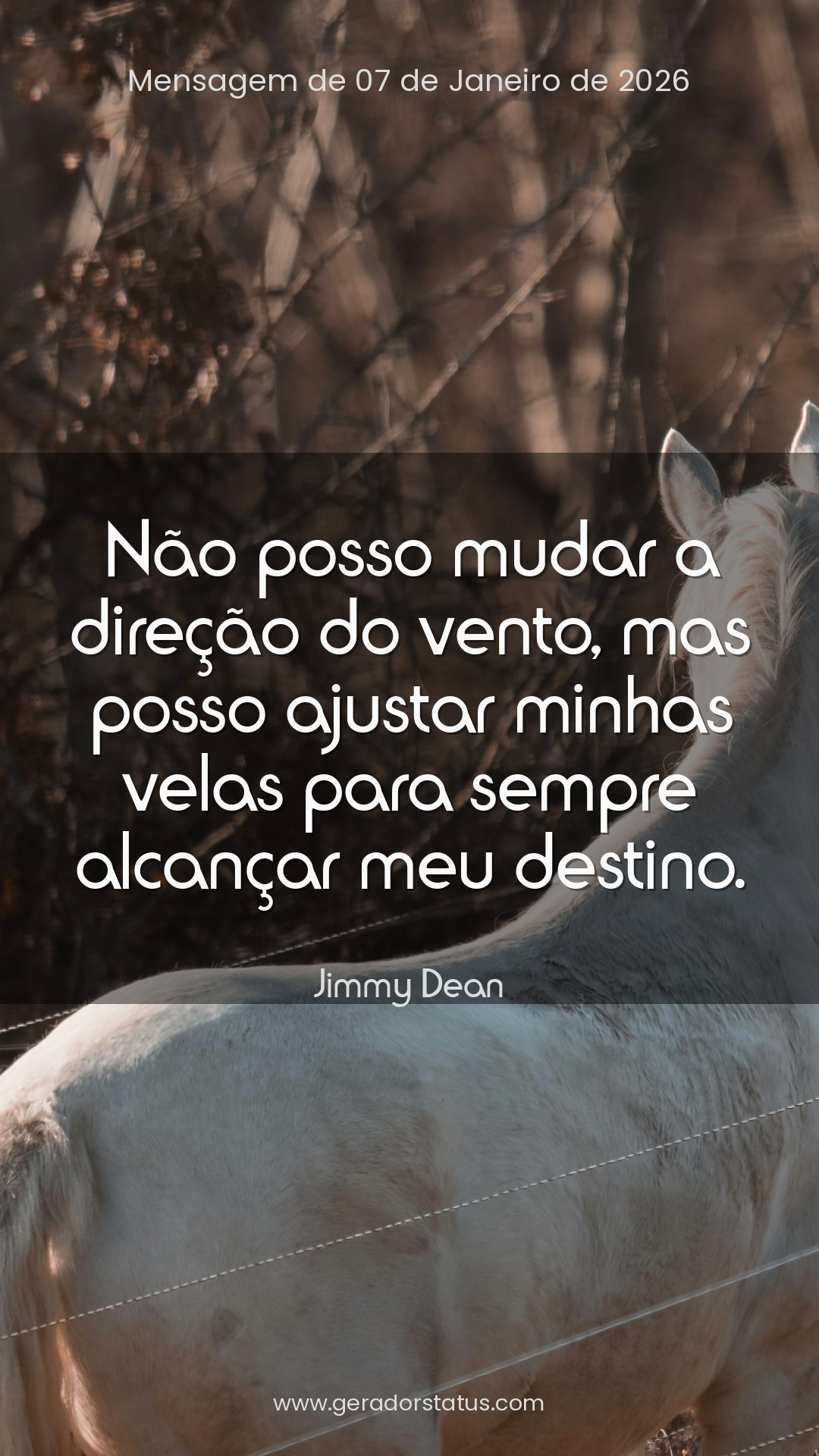 Status do dia: Reflexão