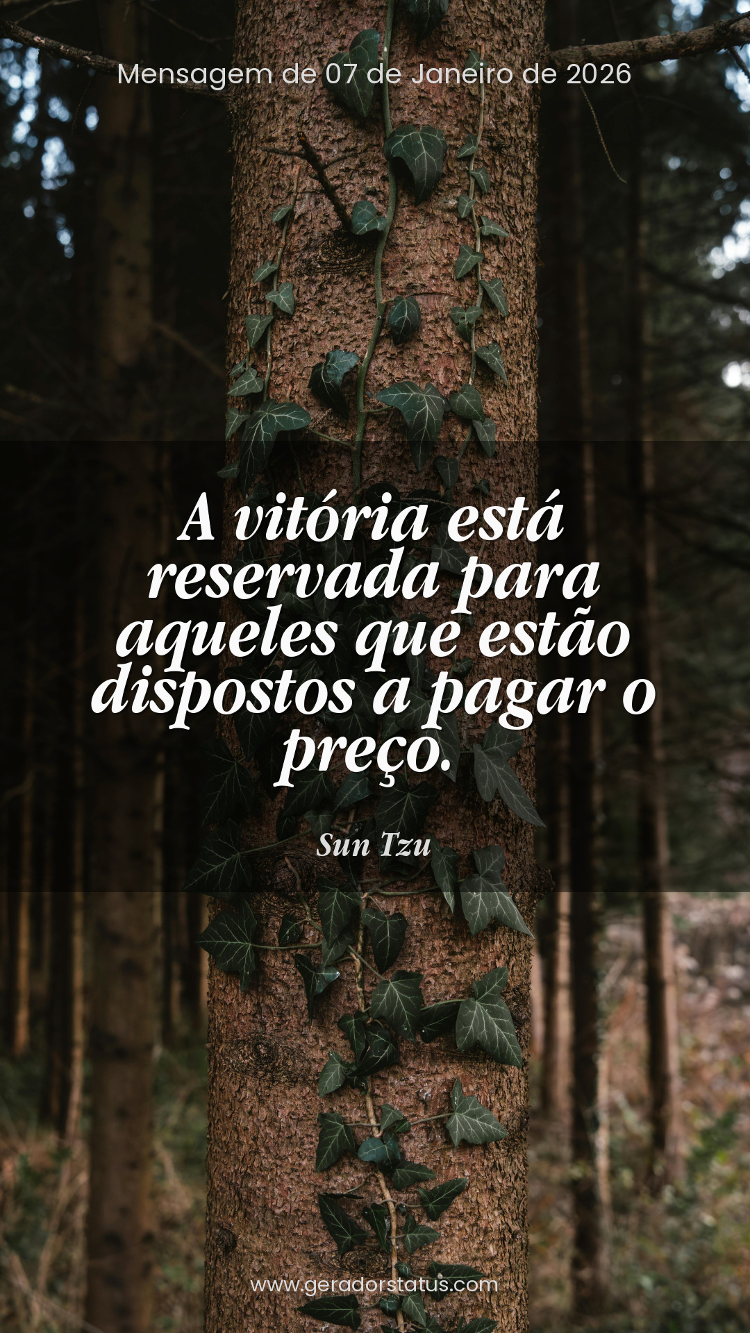 Status do dia: Sabedoria