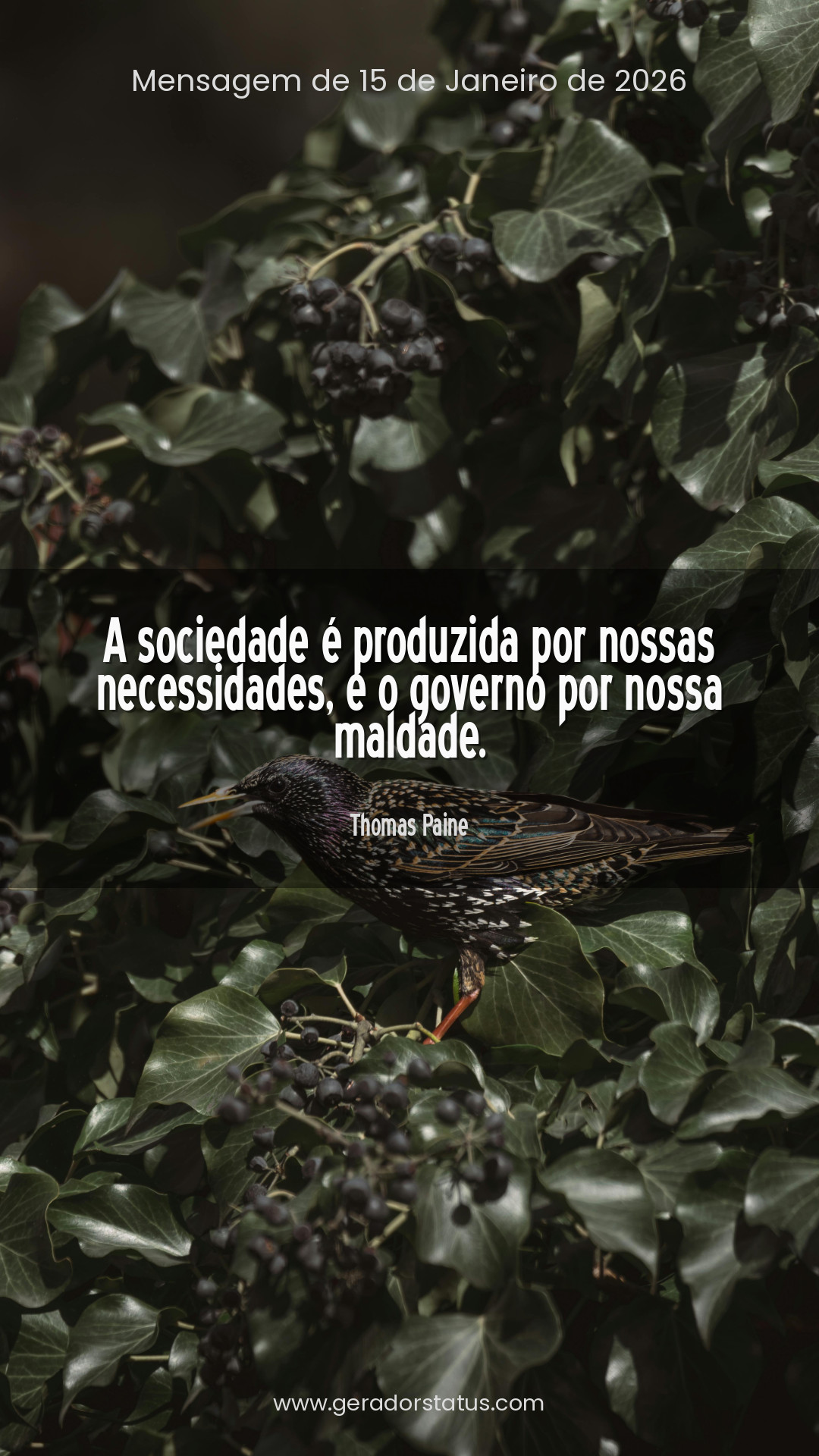 Status do dia: Citação