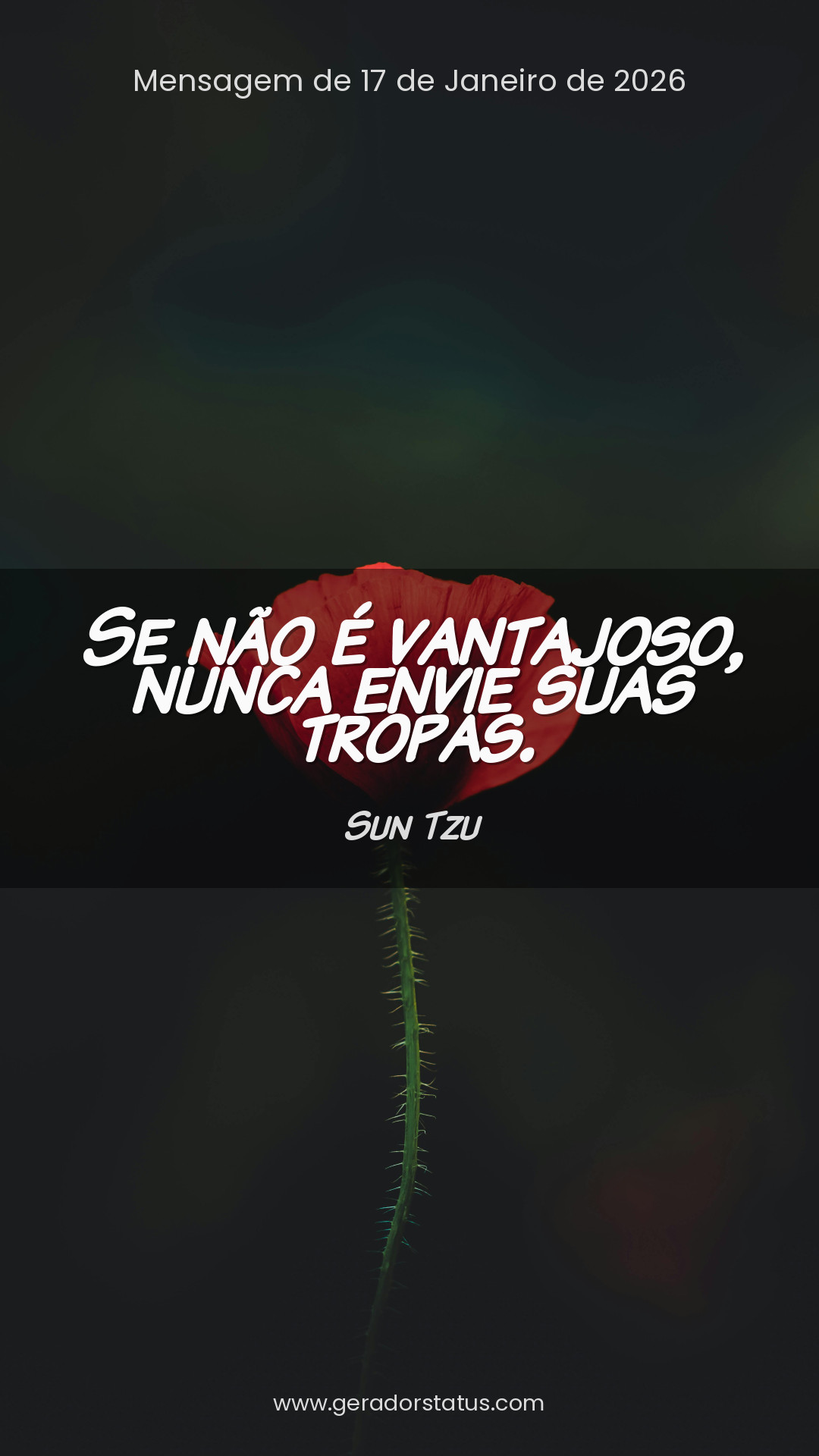 Status do dia: Sabedoria