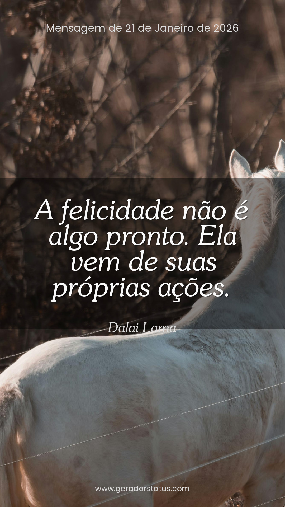 Status do dia: Reflexão