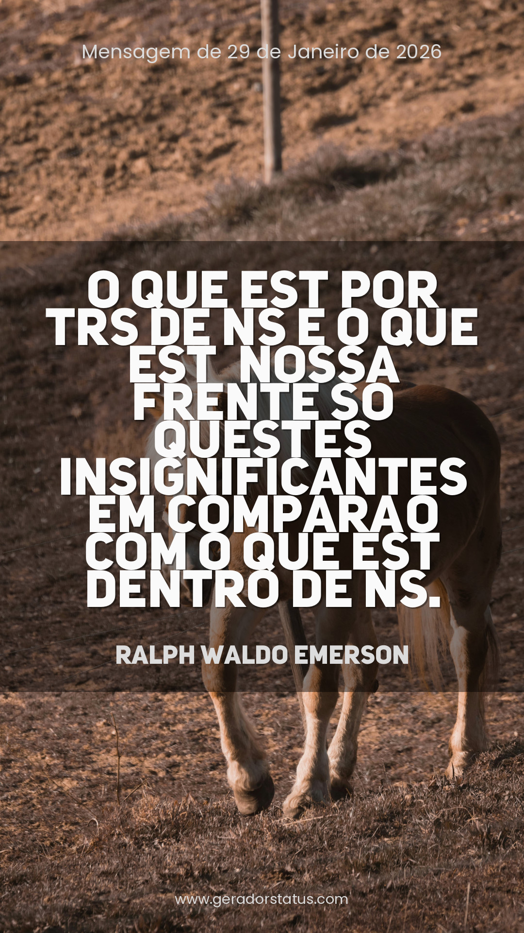 Status do dia: Reflexão