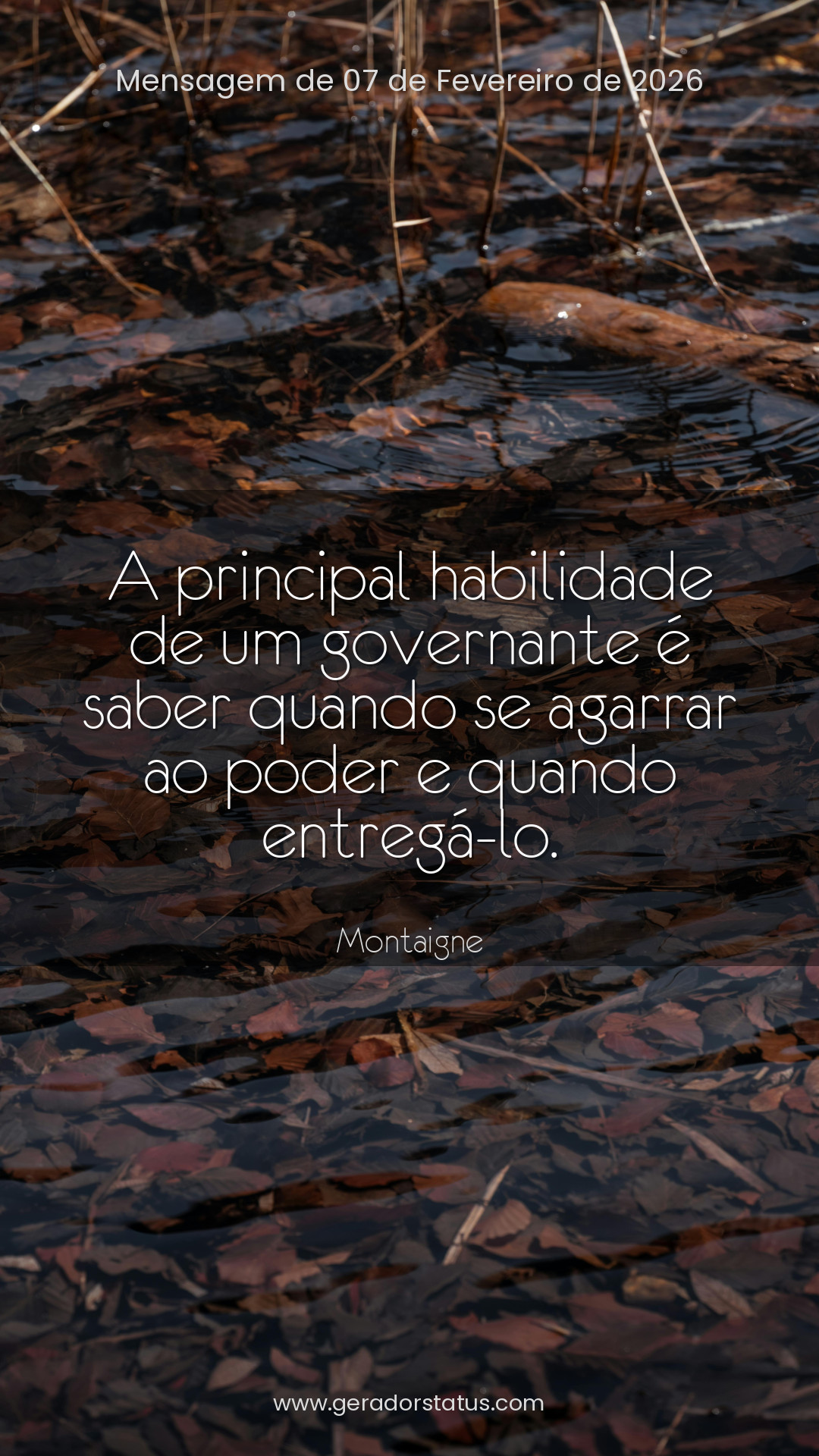 Status do dia: Reflexão