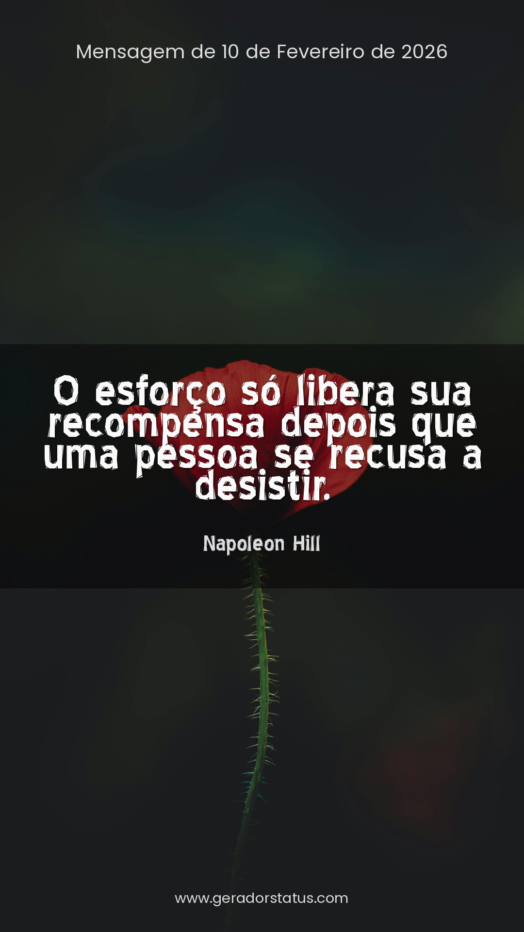 Status do dia: Sabedoria