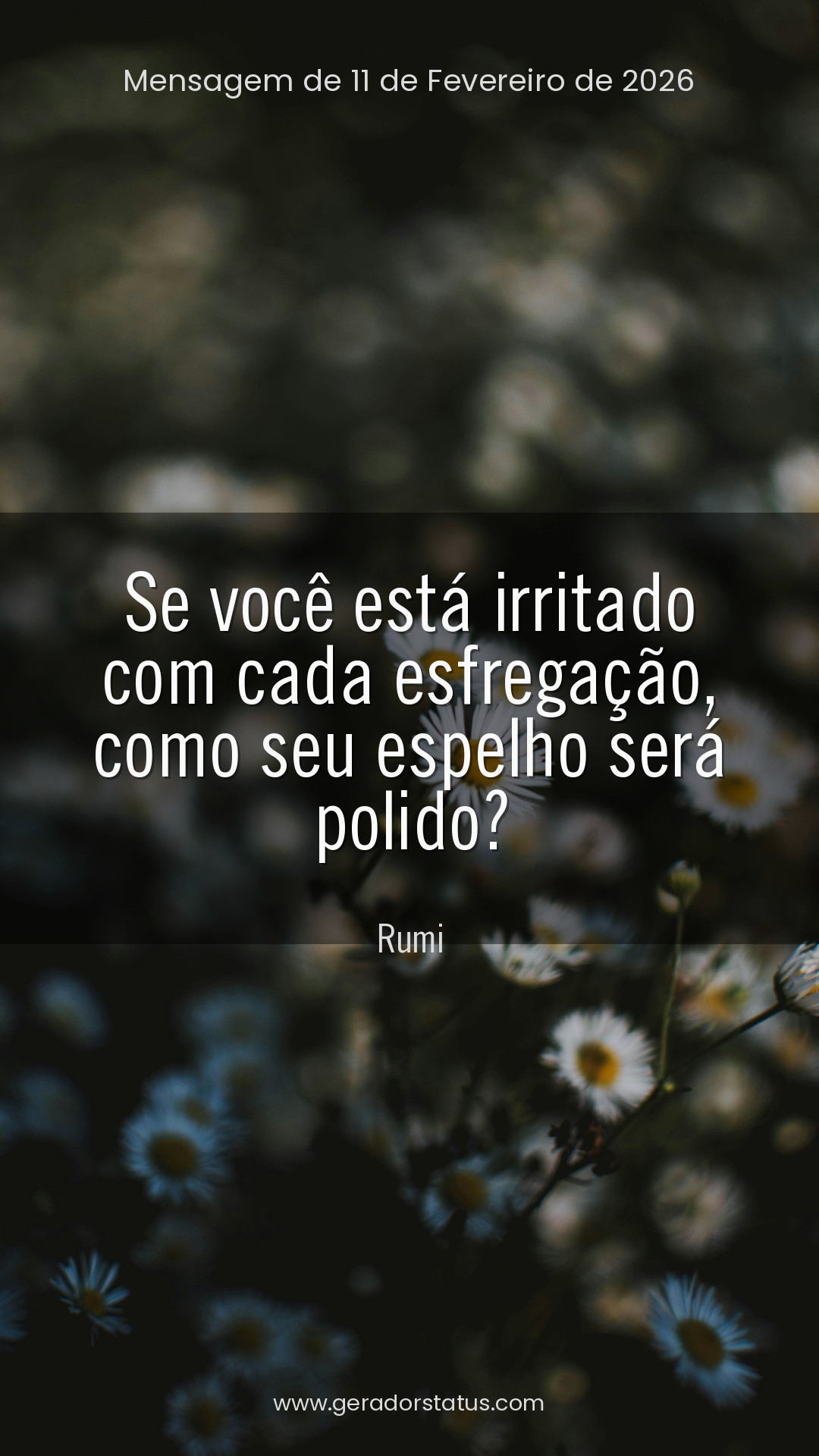 Status do dia: Reflexão