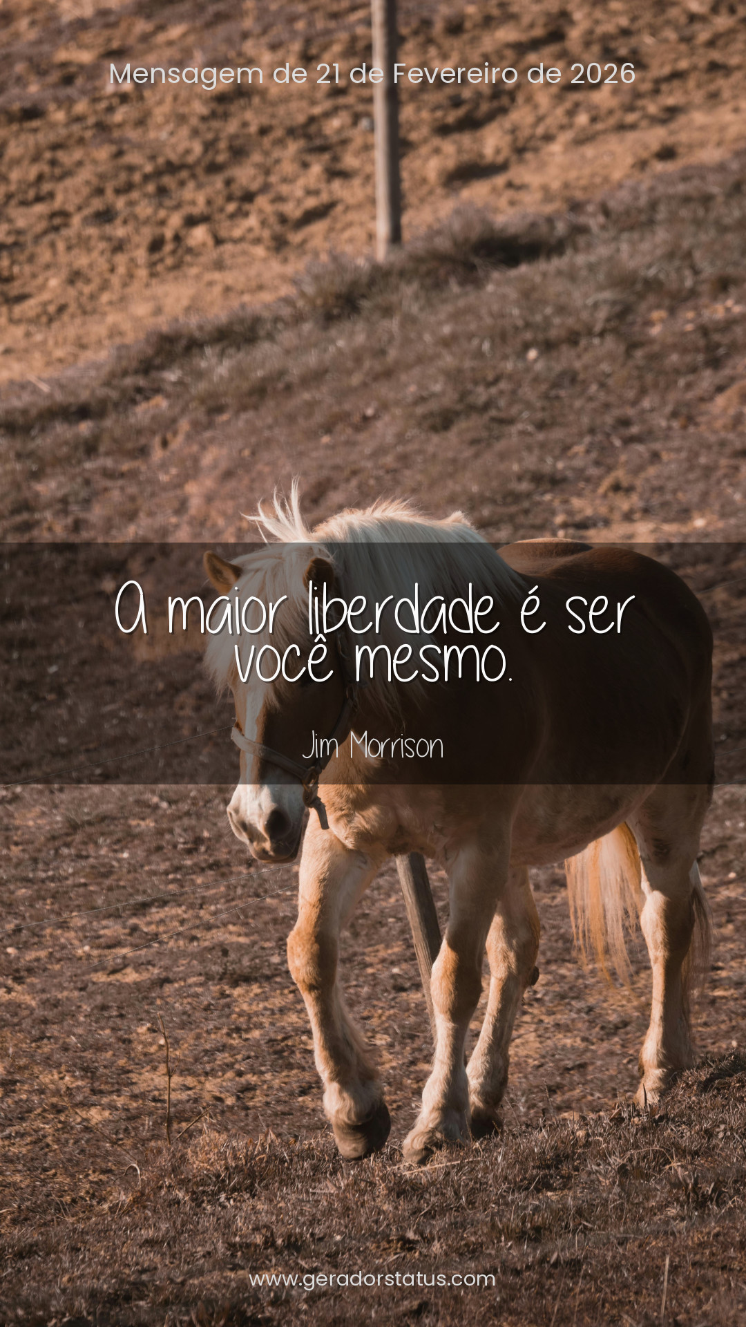 Status do dia: Reflexão