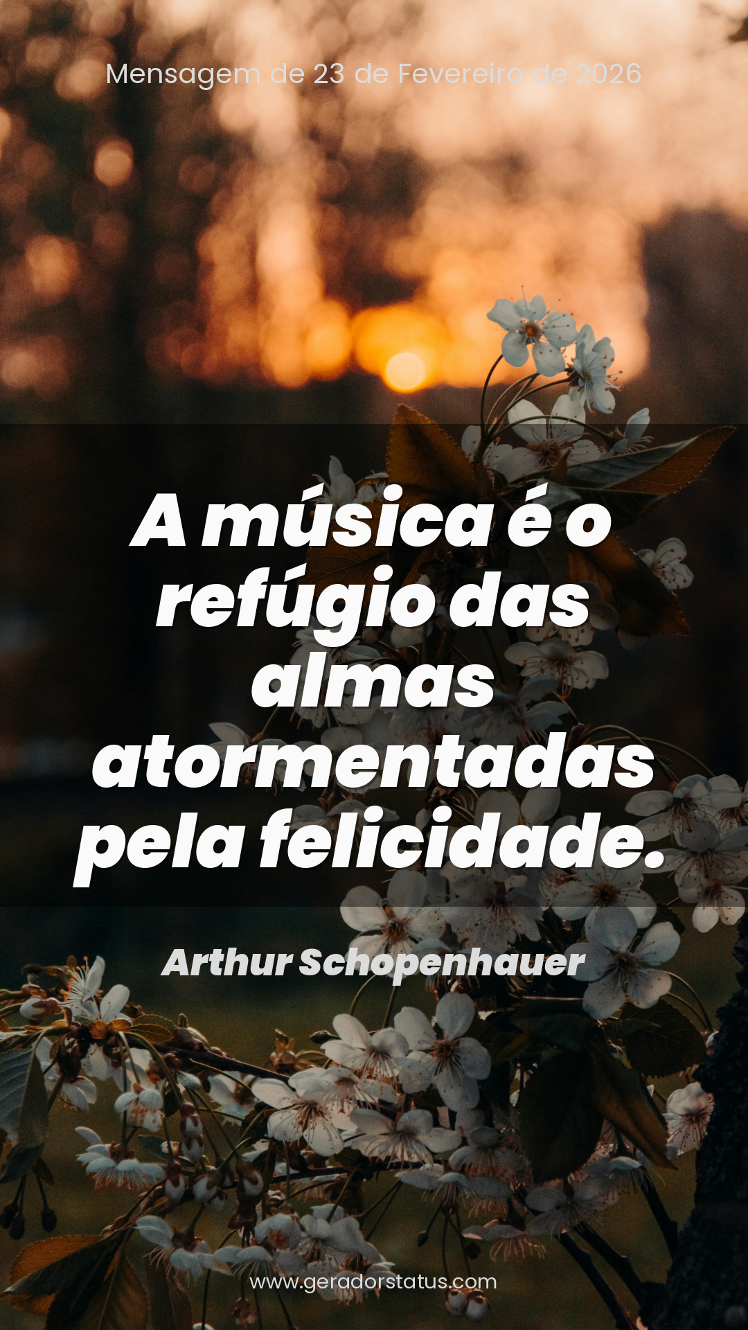 Status do dia: Citação