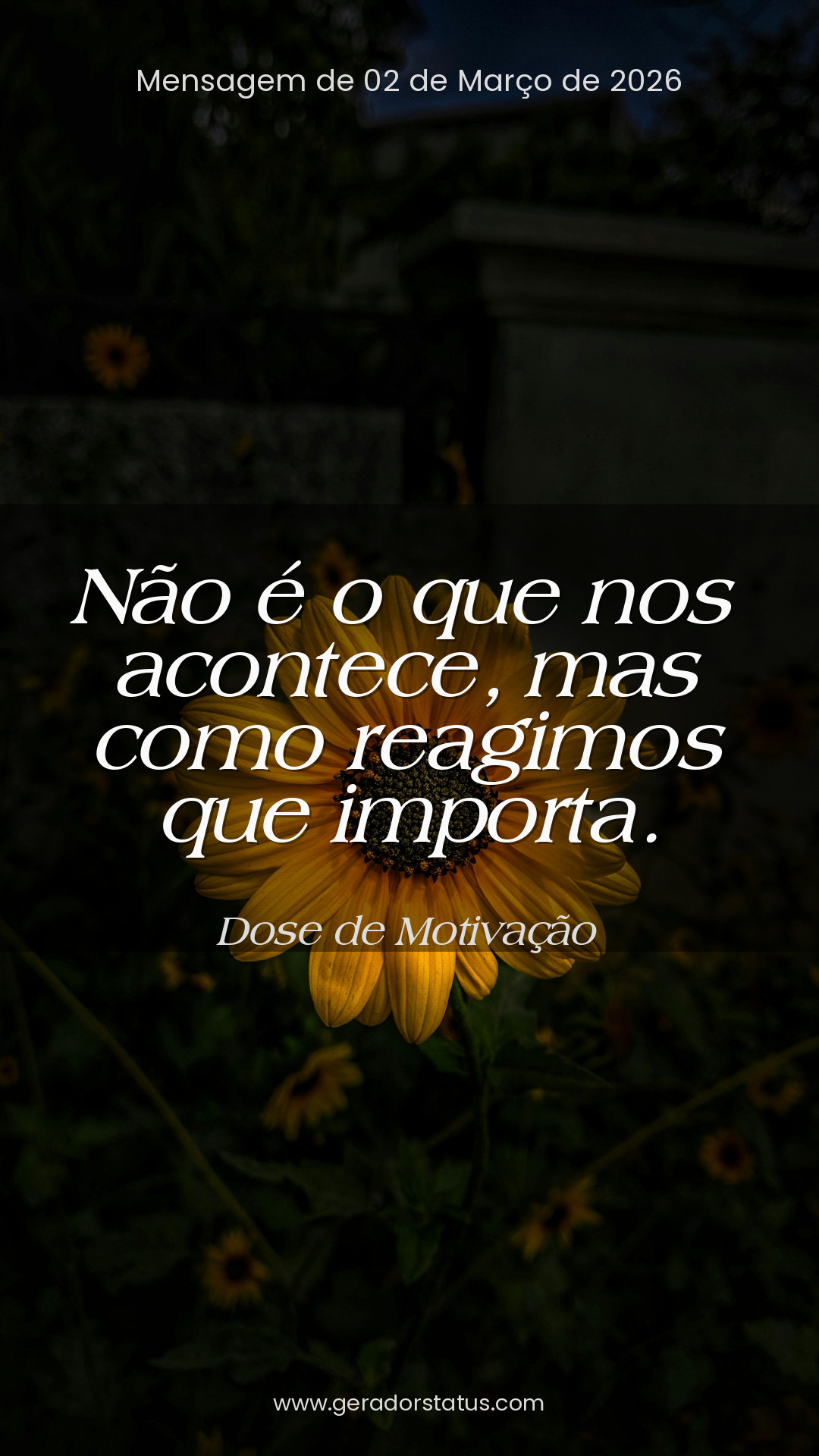 Status do dia: Motivacional