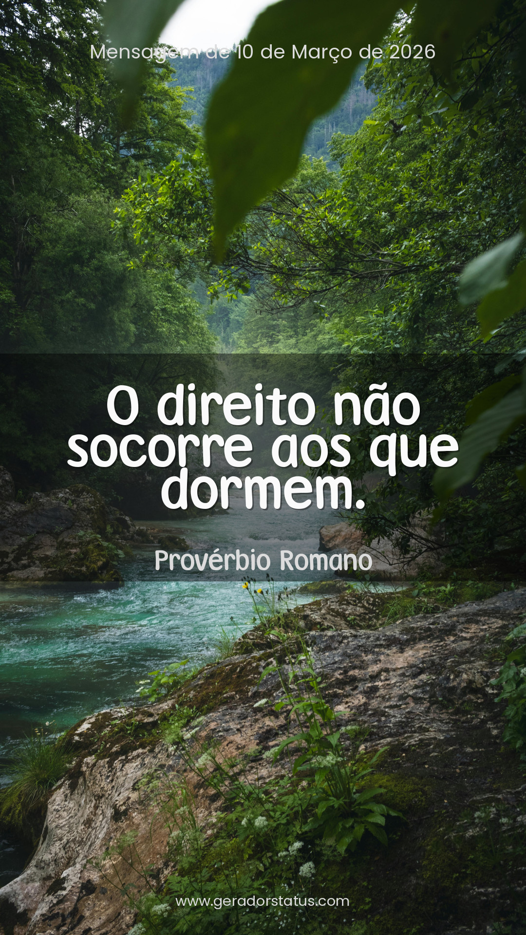 Status do dia: Citação