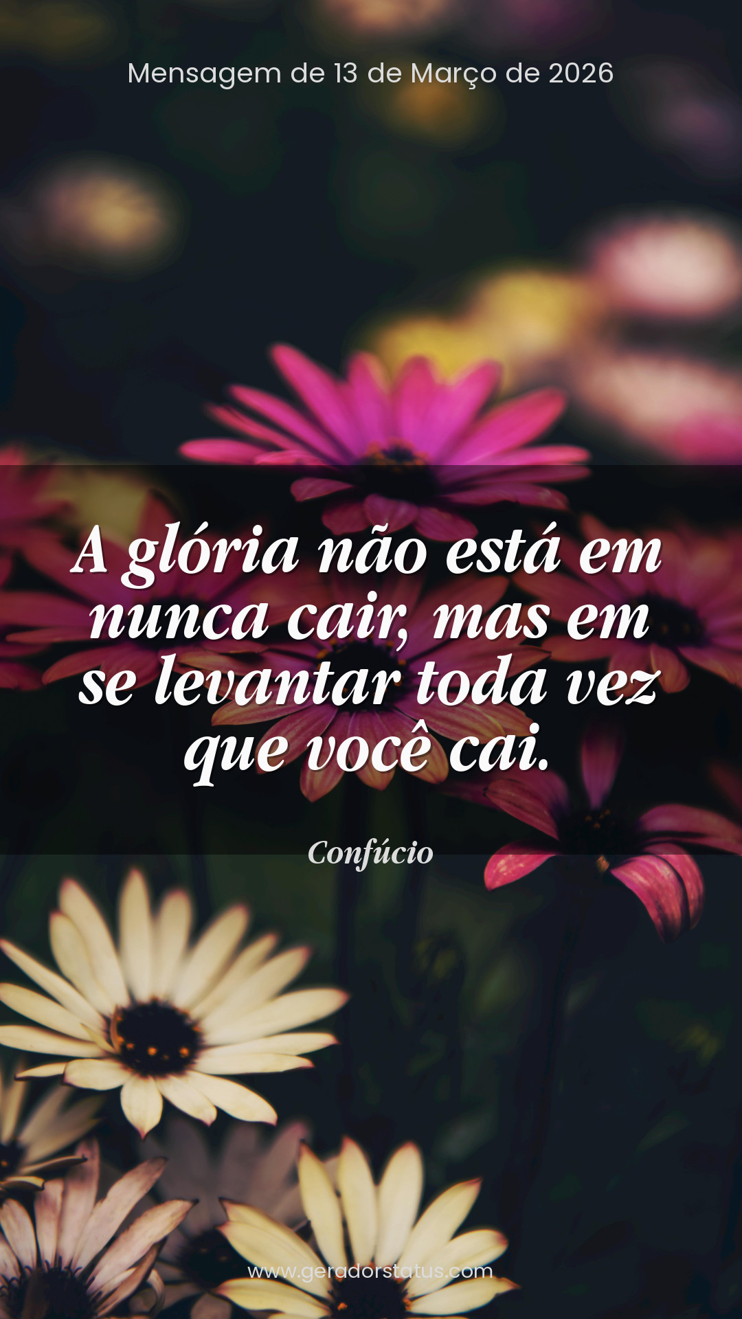 Status do dia: Reflexão