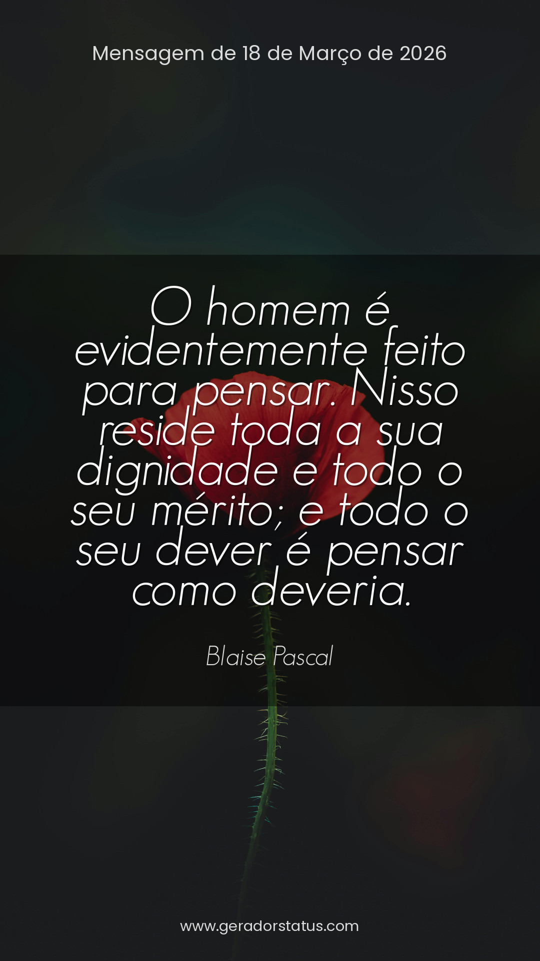 Status do dia: Reflexão