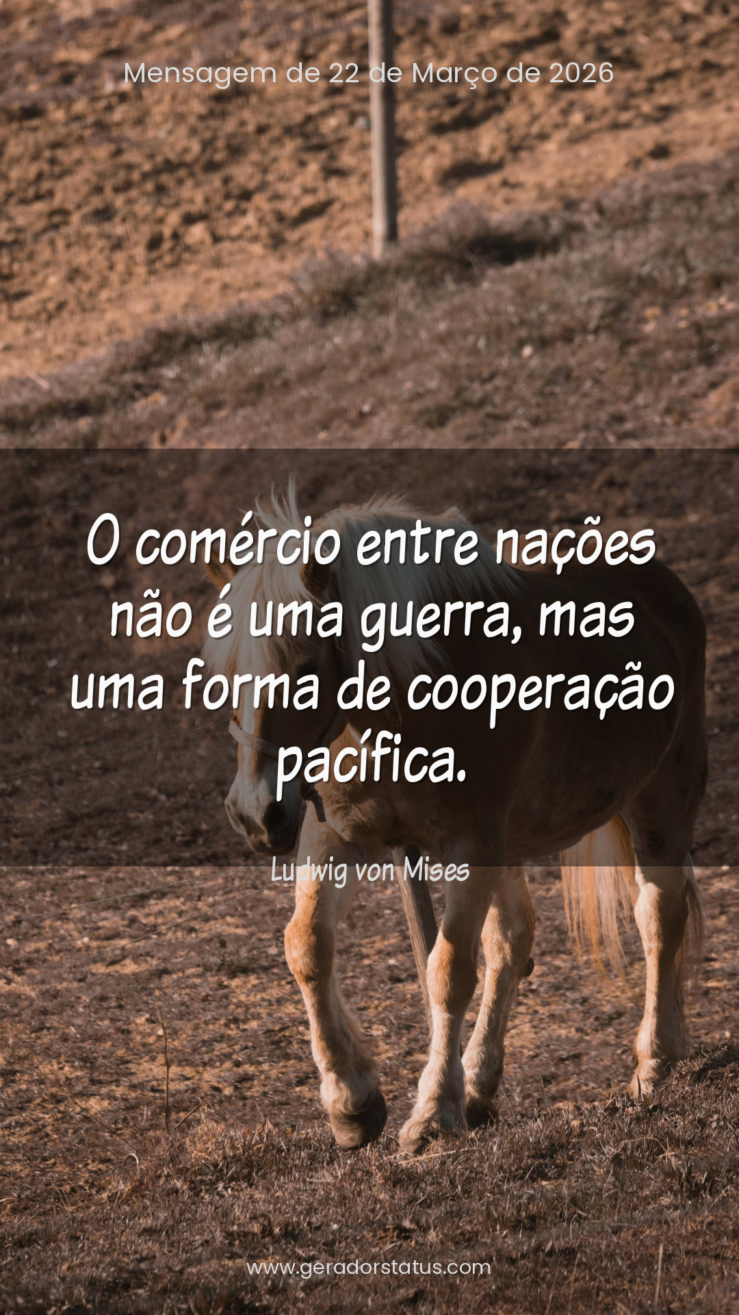 Status do dia: Citação