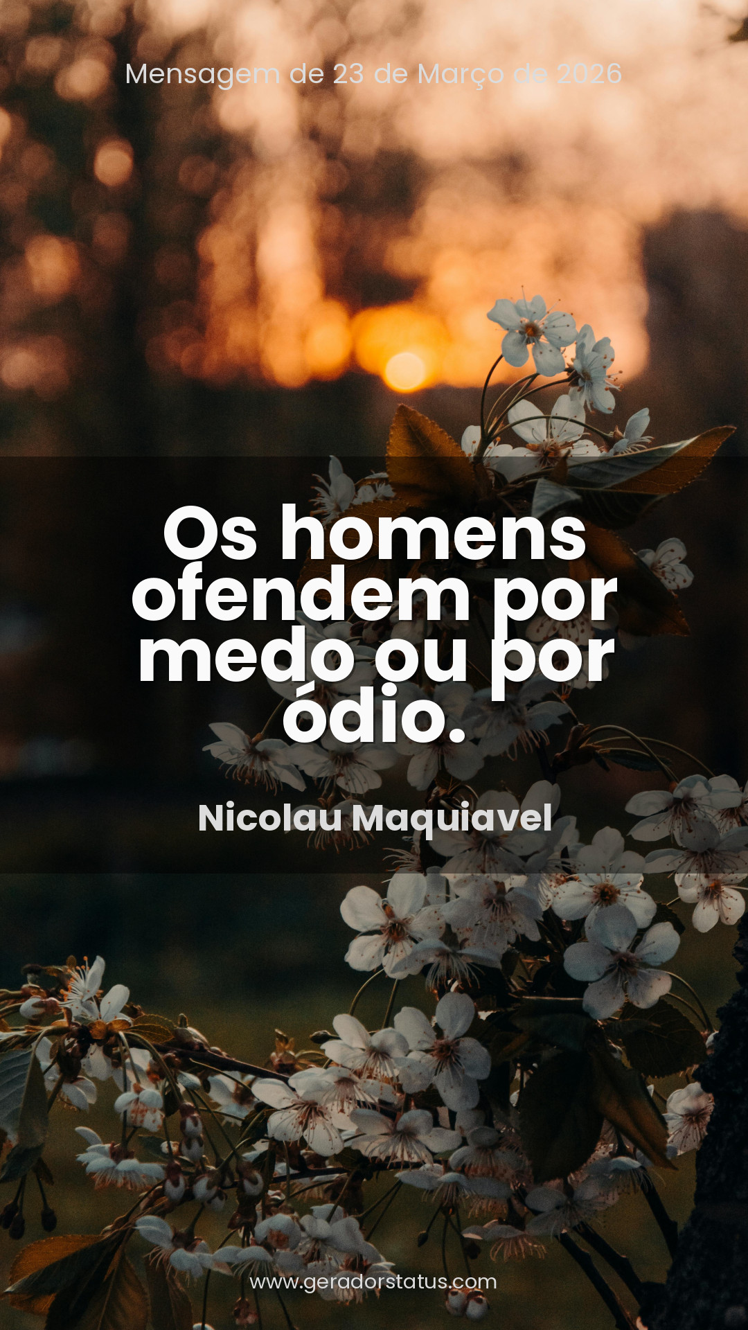 Status do dia: Sabedoria