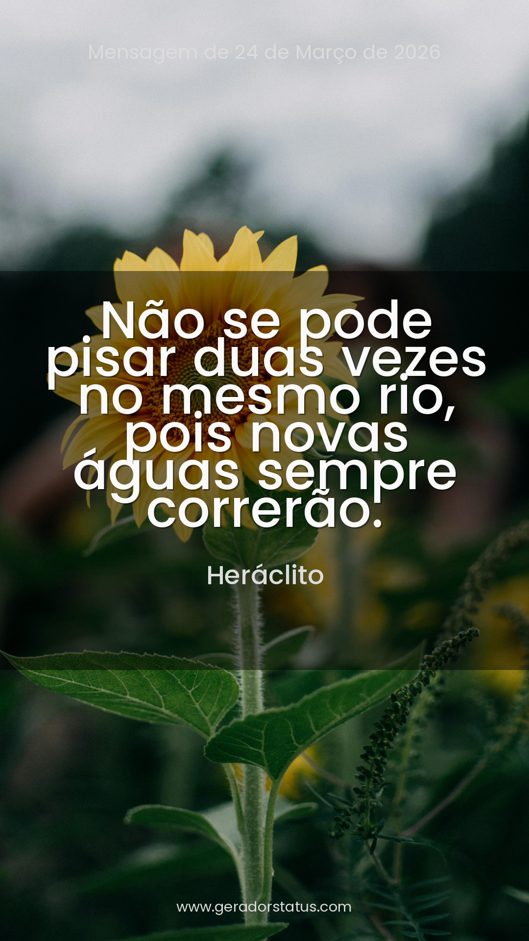 Status do dia: Reflexão