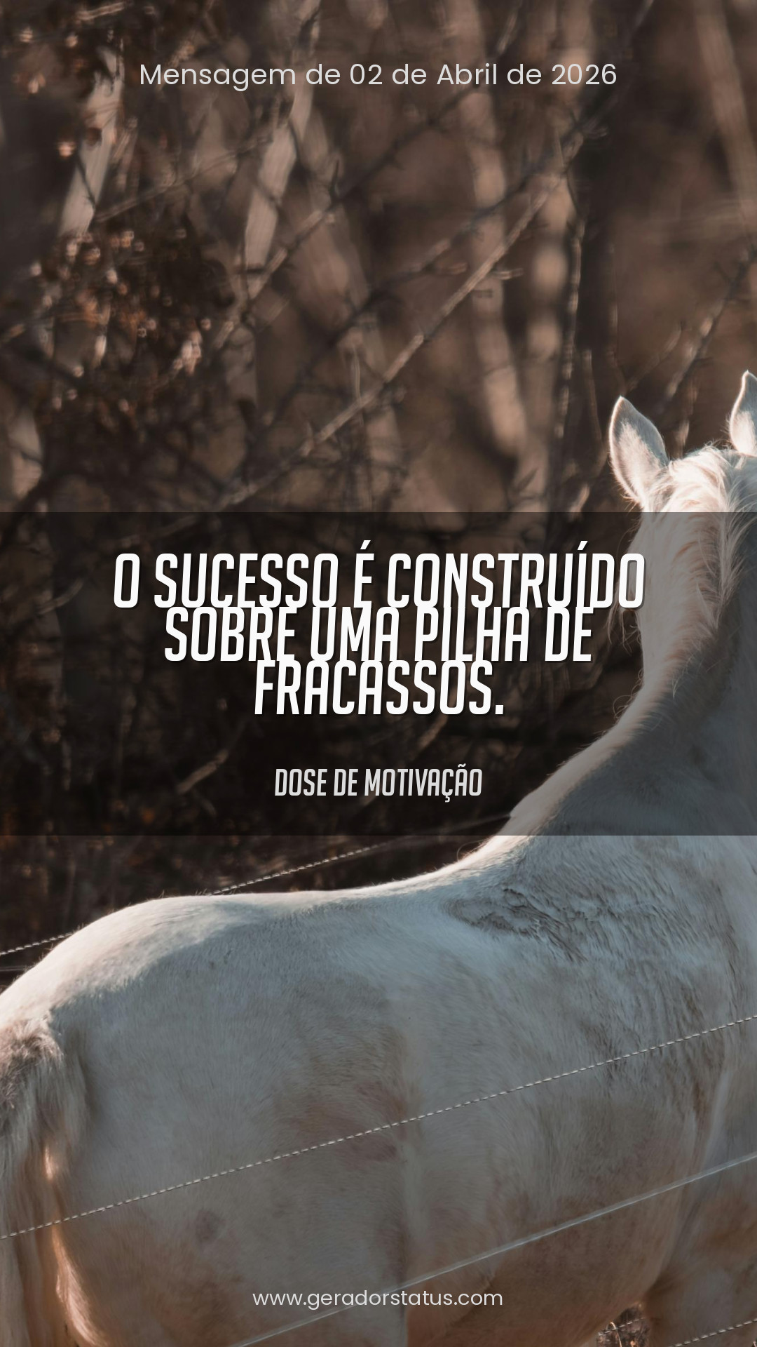 Status do dia: Motivacional