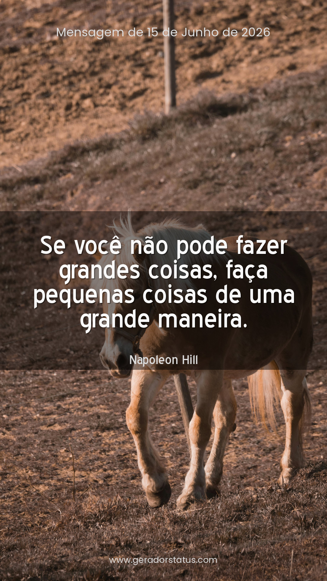 Status do dia: Sabedoria