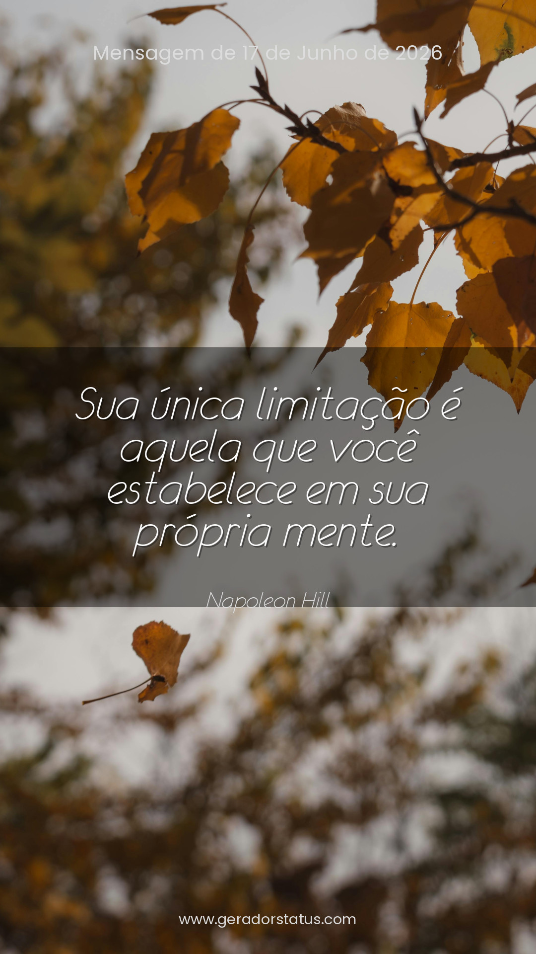 Status do dia: Sabedoria