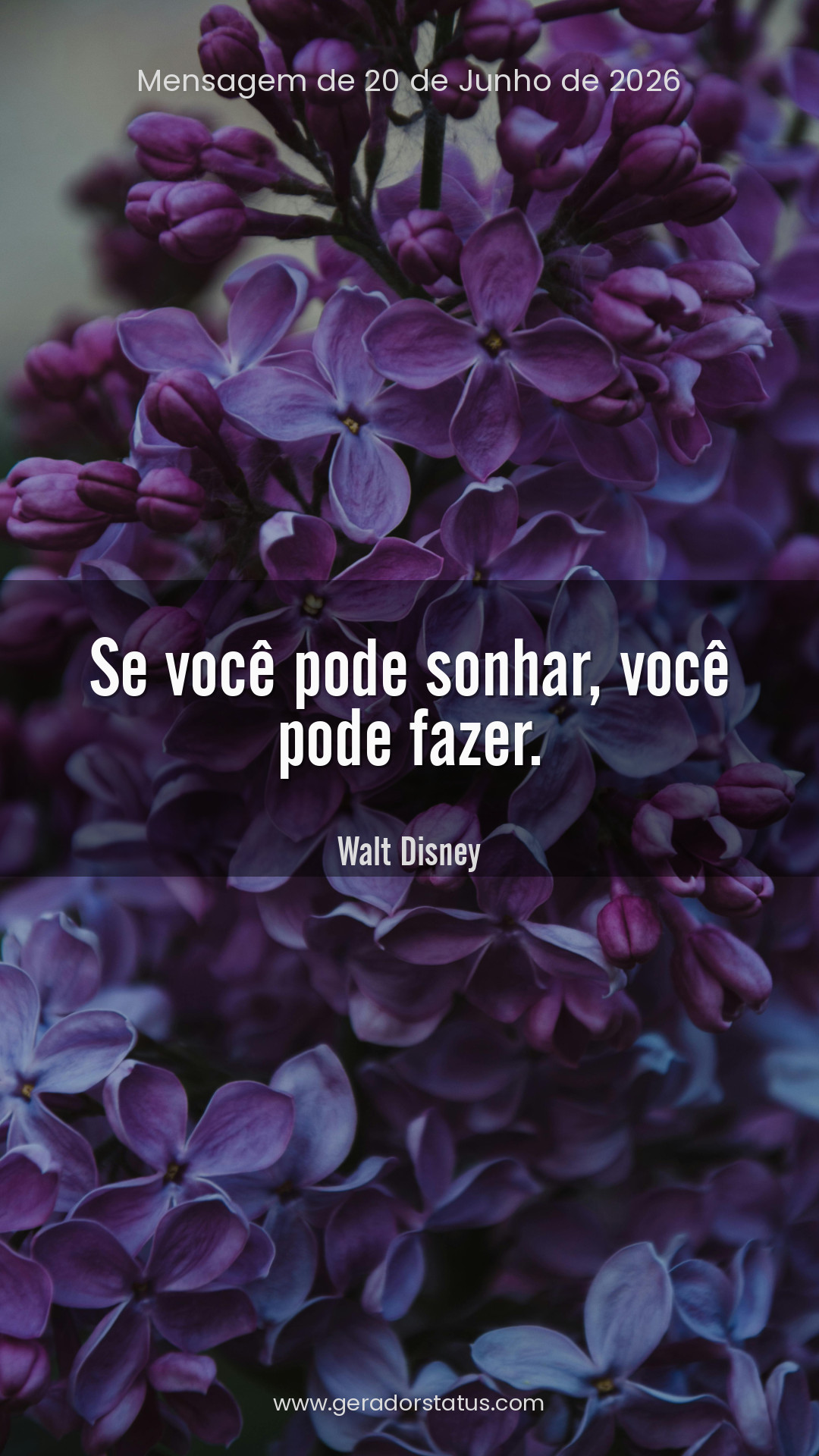 Status do dia: Reflexão