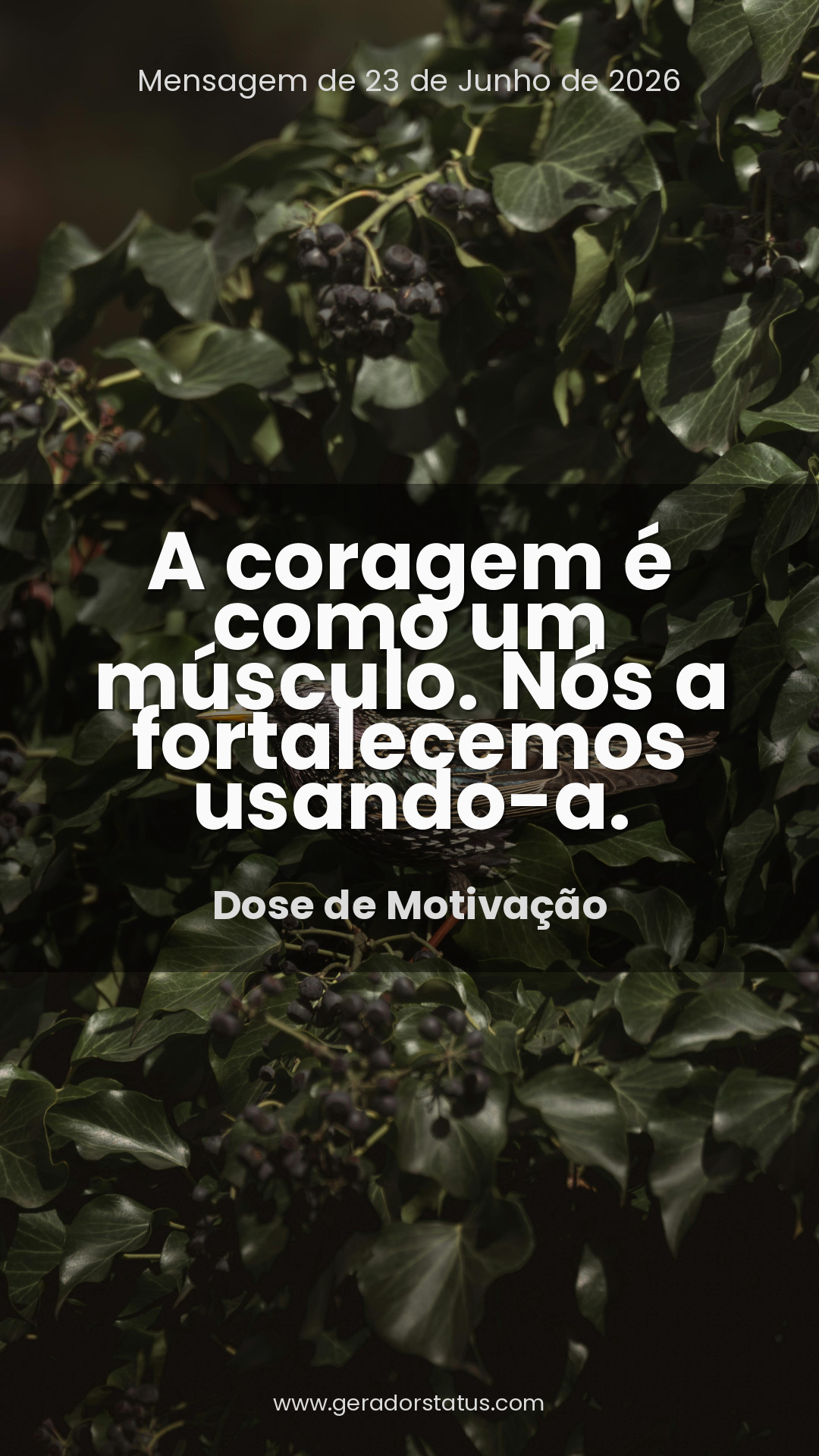 Status do dia: Motivacional