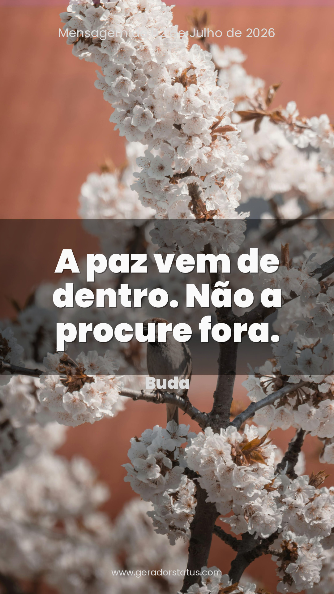Status do dia: Reflexão