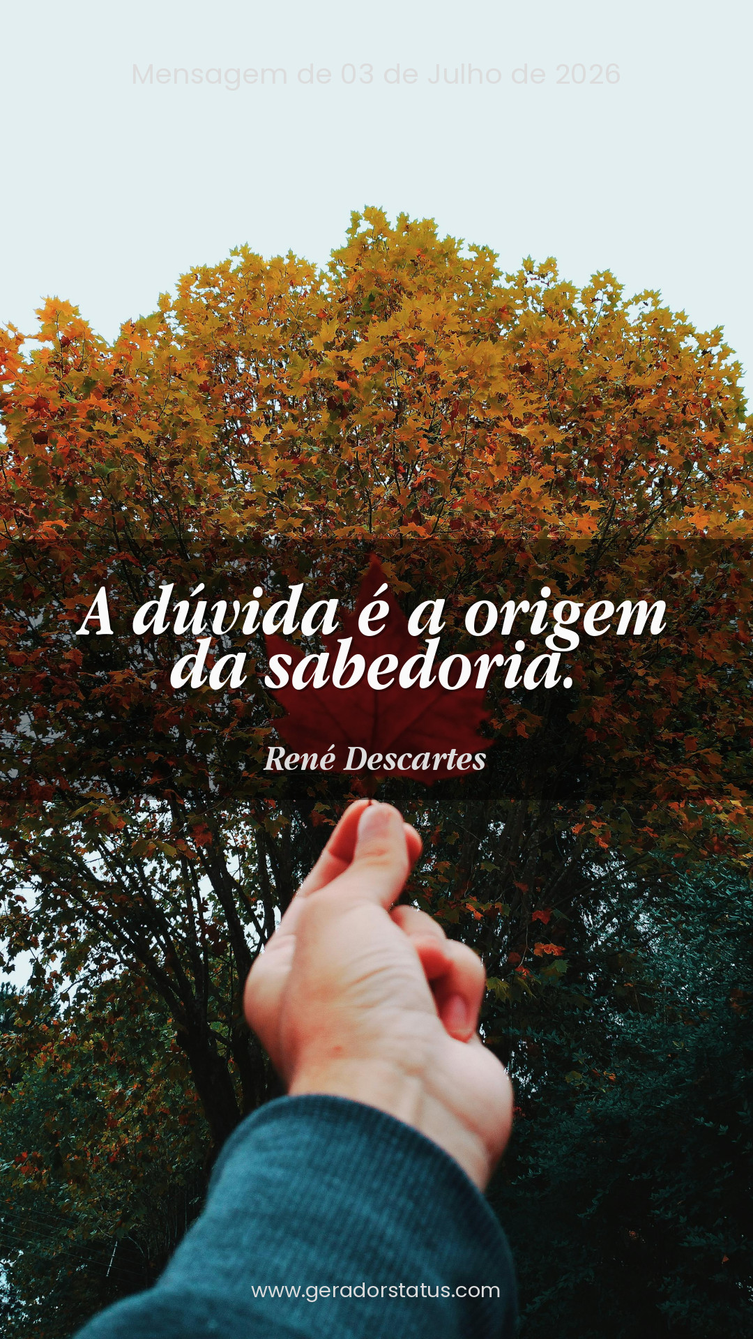 Status do dia: Reflexão