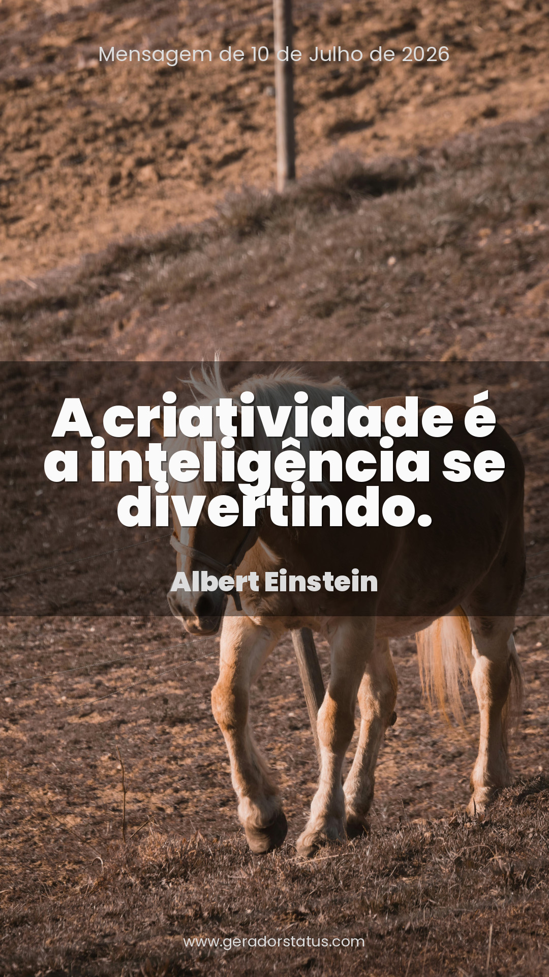 Status do dia: Reflexão